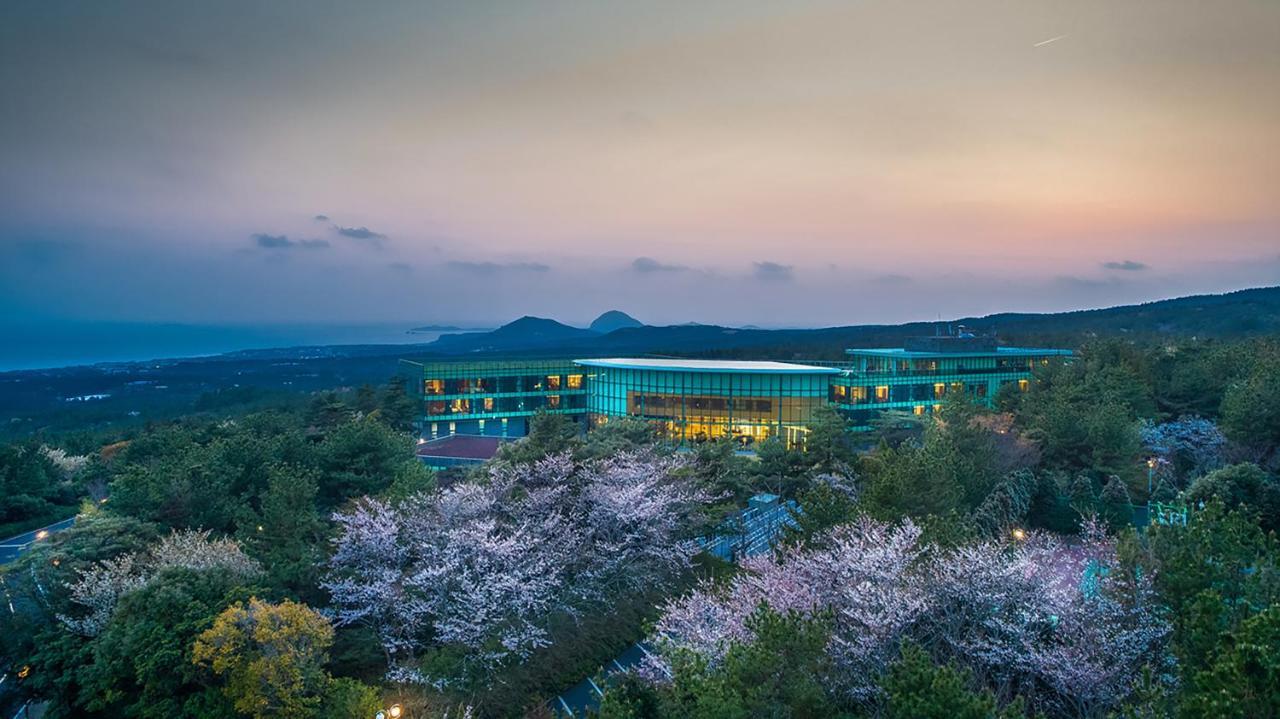 We Hotel Jeju Seogwipo Dış mekan fotoğraf