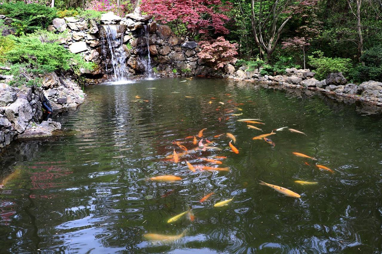 We Hotel Jeju Seogwipo Dış mekan fotoğraf